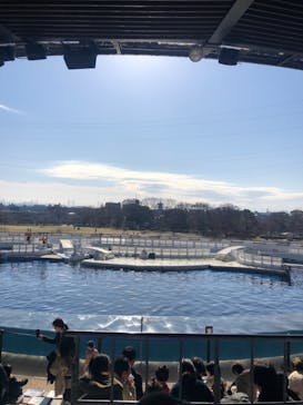 京都水族館に投稿された画像（2023/12/24）