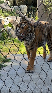 名古屋市東山動植物園に投稿された画像（2023/12/24）