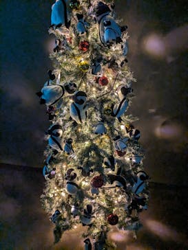 サンシャイン水族館に投稿された画像（2023/12/24）