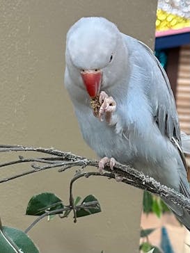 いきもの探検隊上尾に投稿された画像（2023/12/24）