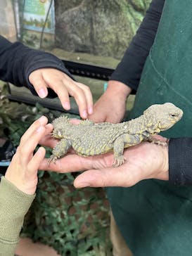 いきもの探検隊上尾に投稿された画像（2023/12/24）