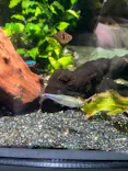 サンシャイン水族館に投稿された画像（2023/12/24）
