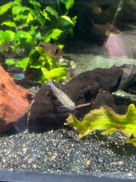 サンシャイン水族館に投稿された画像（2023/12/24）