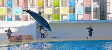 伊豆・三津シーパラダイスに投稿された画像（2023/12/24）