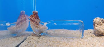 伊豆・三津シーパラダイスに投稿された画像（2023/12/24）