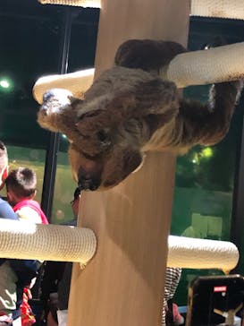 DMMかりゆし水族館に投稿された画像（2023/12/24）