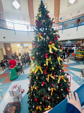 浜名湖パルパルに投稿された画像（2023/12/24）