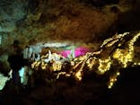石垣島鍾乳洞に投稿された画像（2023/12/24）