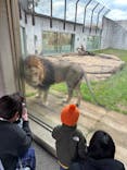 千葉市動物公園に投稿された画像（2023/12/24）