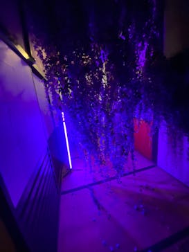 愛知県指定有形文化財 伊藤家住宅×花とデジタルアートの祭典 2023-2024に投稿された画像（2023/12/24）