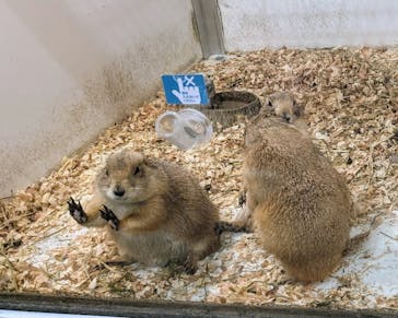 アニタッチみなとみらいに投稿された画像（2023/12/17）