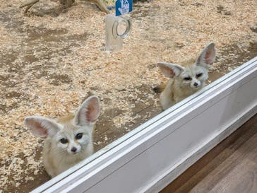 アニタッチみなとみらいに投稿された画像（2023/12/17）