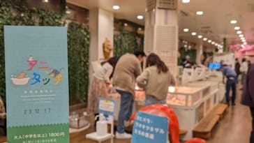 アニタッチみなとみらいに投稿された画像（2023/12/17）