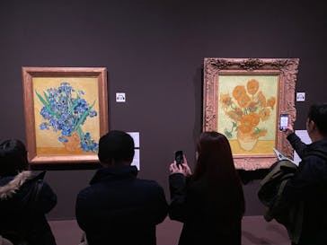 ゴッホと静物画　伝統から革新へ（SＯＭＰＯ美術館）に投稿された画像（2023/12/24）