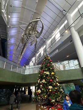 アクアワールド茨城県大洗水族館に投稿された画像（2023/12/24）