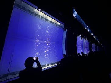 アクアワールド茨城県大洗水族館に投稿された画像（2023/12/24）