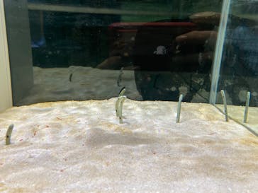 名古屋港水族館に投稿された画像（2023/12/24）