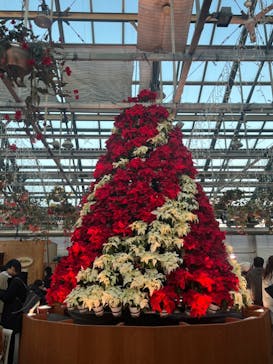 なばなの里に投稿された画像（2023/12/24）