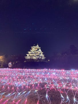 大阪城イルミナージュに投稿された画像（2023/12/24）