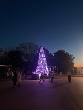 西武園ゆうえんちに投稿された画像（2023/12/24）