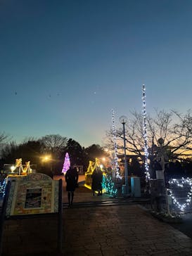 西武園ゆうえんちに投稿された画像（2023/12/24）