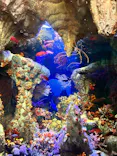 サンシャイン水族館に投稿された画像（2023/12/24）