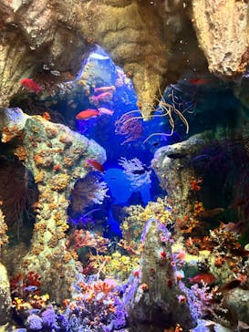 サンシャイン水族館に投稿された画像（2023/12/24）