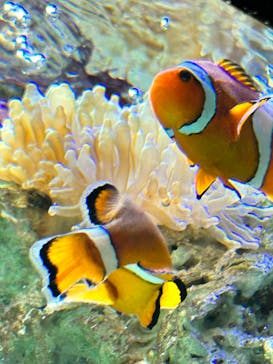 サンシャイン水族館に投稿された画像（2023/12/24）