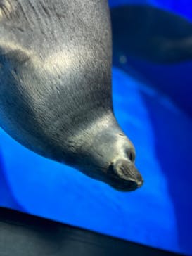 サンシャイン水族館に投稿された画像（2023/12/24）