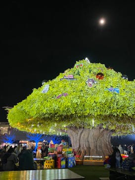 東京メガイルミに投稿された画像（2023/12/24）