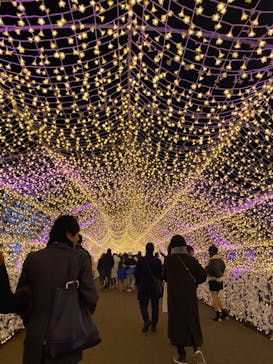 東京メガイルミに投稿された画像（2023/12/24）