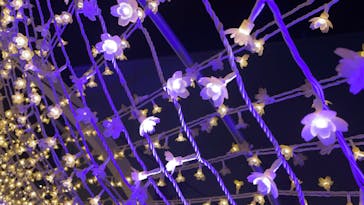 東京メガイルミに投稿された画像（2023/12/24）