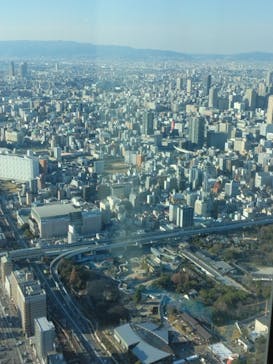 ハルカス300(展望台)に投稿された画像（2023/12/24）