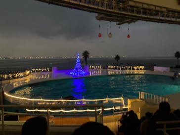 マリンワールド海の中道に投稿された画像（2023/12/24）