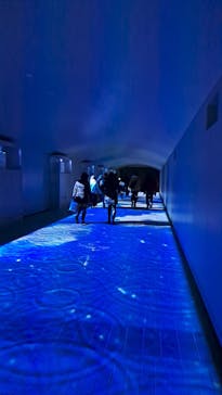 東京メガイルミに投稿された画像（2023/12/24）