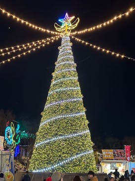 さがみ湖MORI MORIに投稿された画像（2023/12/24）