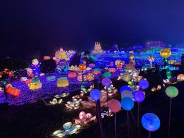 伊豆ぐらんぱる公園に投稿された画像（2023/12/24）