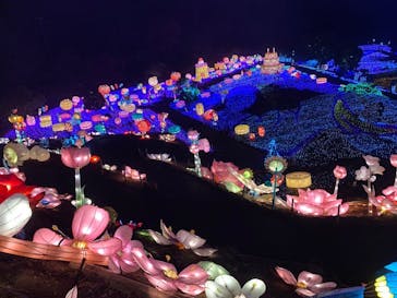 伊豆ぐらんぱる公園に投稿された画像（2023/12/24）