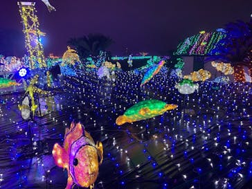 伊豆ぐらんぱる公園に投稿された画像（2023/12/24）