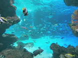 サンシャイン水族館に投稿された画像（2023/12/24）
