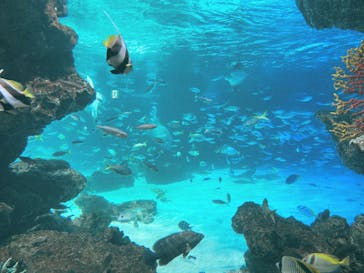 サンシャイン水族館に投稿された画像（2023/12/24）