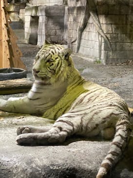 東武動物公園に投稿された画像（2023/12/24）