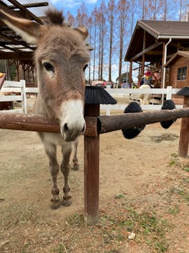東武動物公園に投稿された画像（2023/12/24）