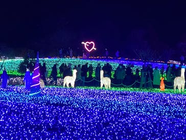 東武動物公園に投稿された画像（2023/12/24）