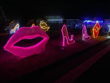 鹿児島イルミナージュに投稿された画像（2023/12/24）