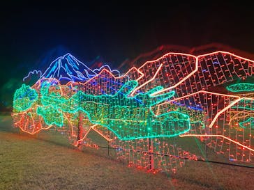 鹿児島イルミナージュに投稿された画像（2023/12/24）