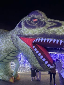 鹿児島イルミナージュに投稿された画像（2023/12/24）