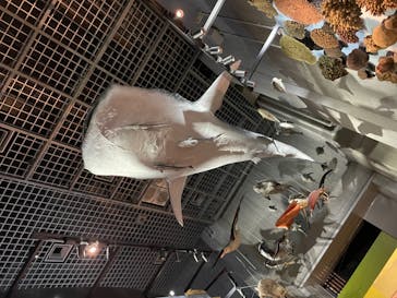 国立科学博物館に投稿された画像（2023/12/24）