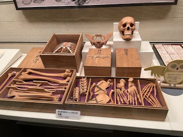 国立科学博物館に投稿された画像（2023/12/24）