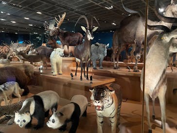 国立科学博物館に投稿された画像（2023/12/24）